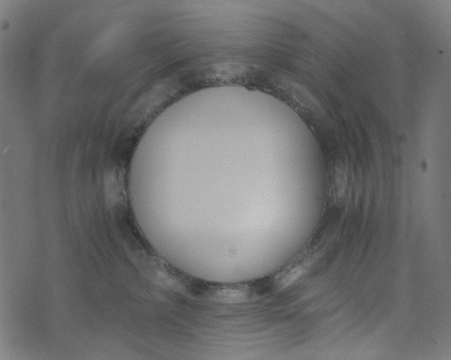 X0000073720236200608171211