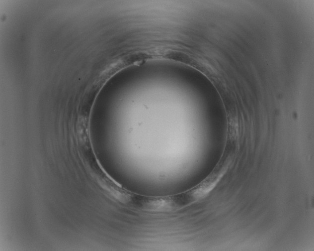 X0000073720237200608171211