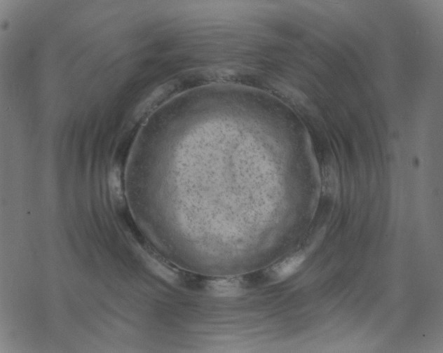 X0000073720238200608171211