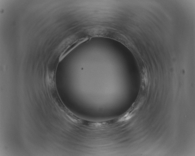 X0000073720239200608171211