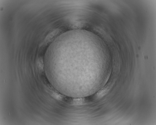 X0000073720240200608171211