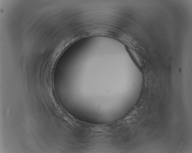 X0000073720241200608171210