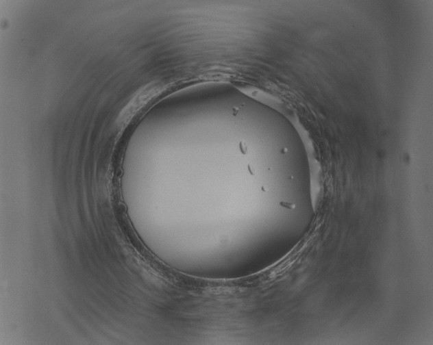 X0000073720242200608171210