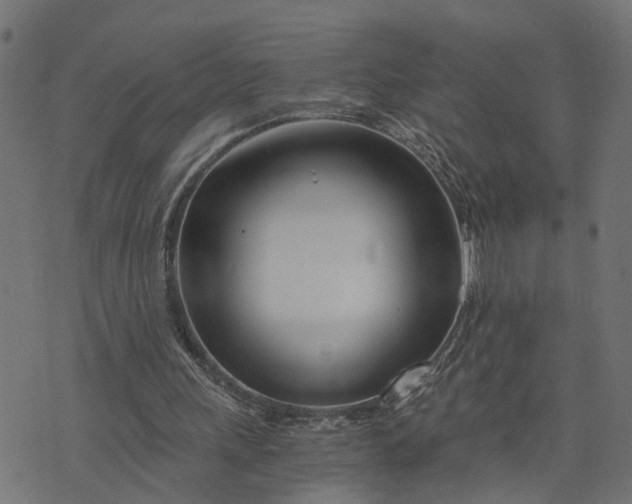 X0000073720243200608171210