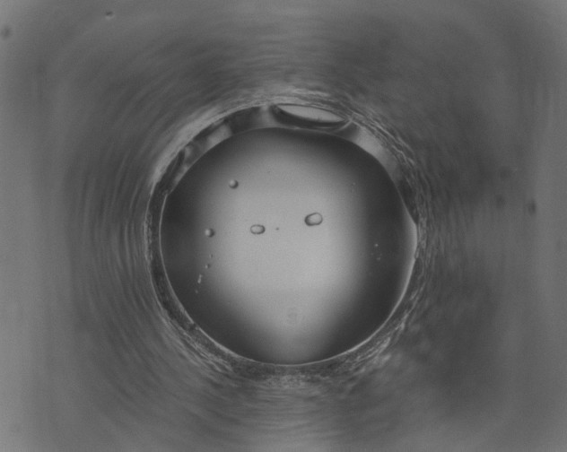 X0000073720244200608171210