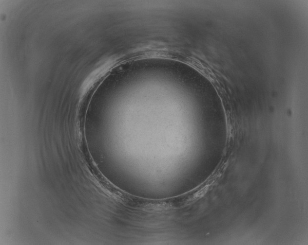 X0000073720245200608171210