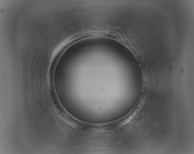 X0000073720246200608171210