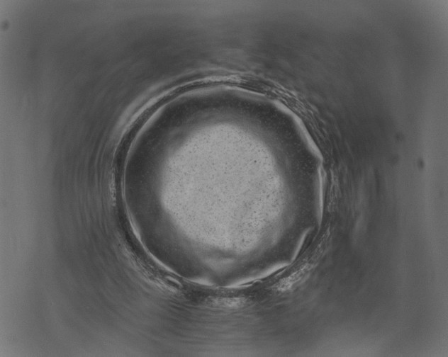 X0000073720247200608171210