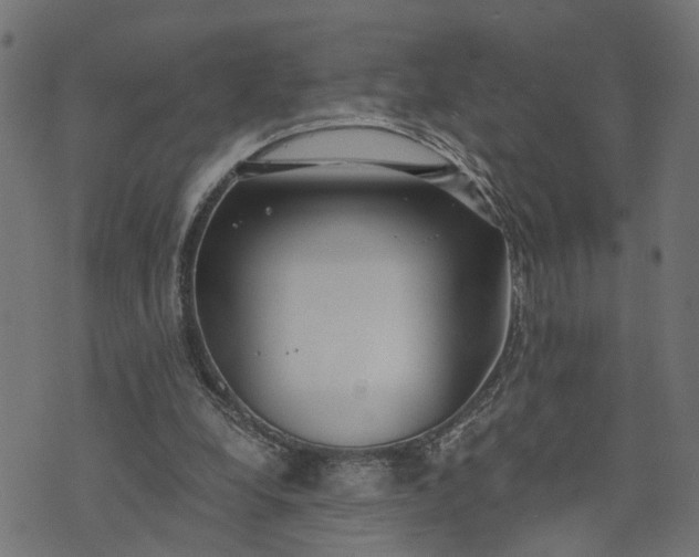 X0000073720248200608171210