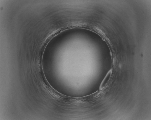 X0000073720249200608171211