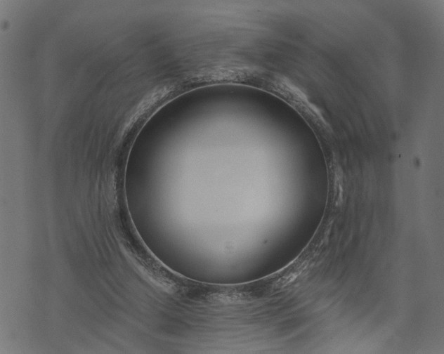 X0000073720250200608171211