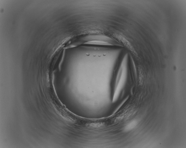 X0000073720251200608171211