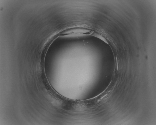 X0000073720252200608171211