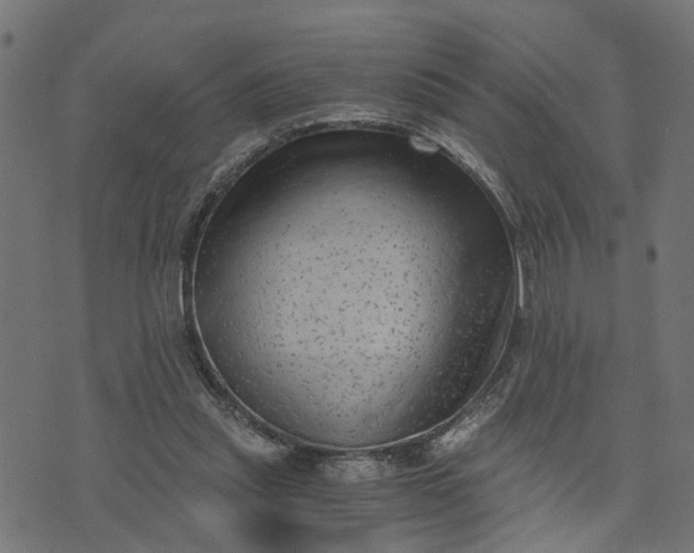 X0000073720253200608171211