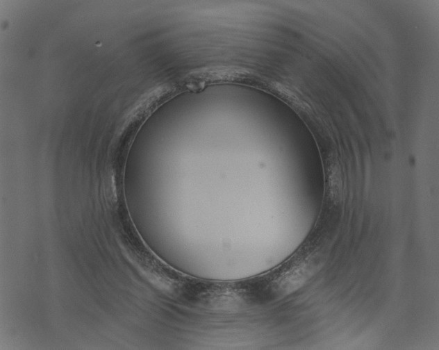 X0000073720254200608171211