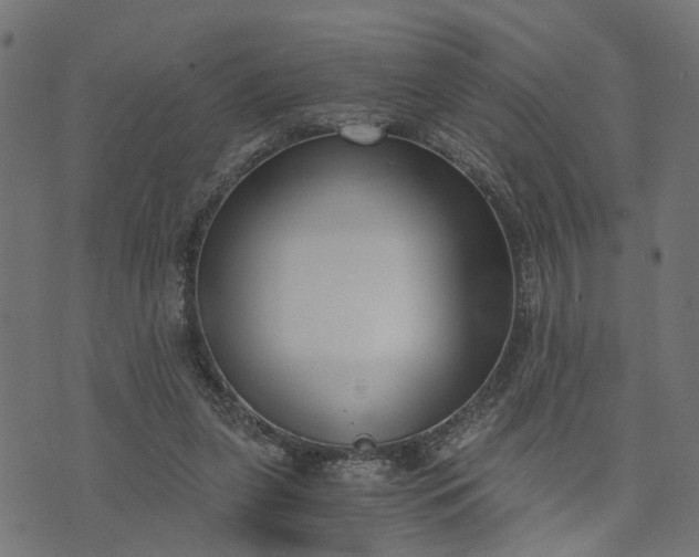 X0000073720255200608171211