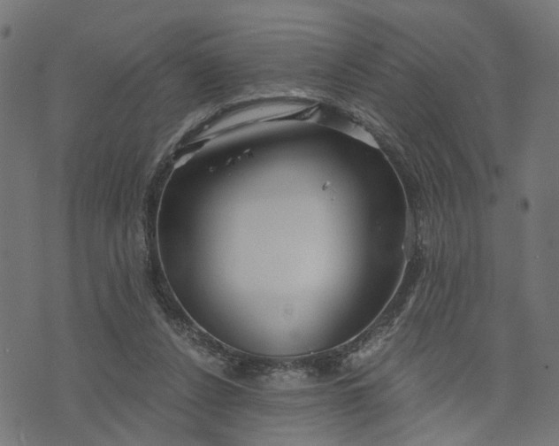 X0000073720256200608171211