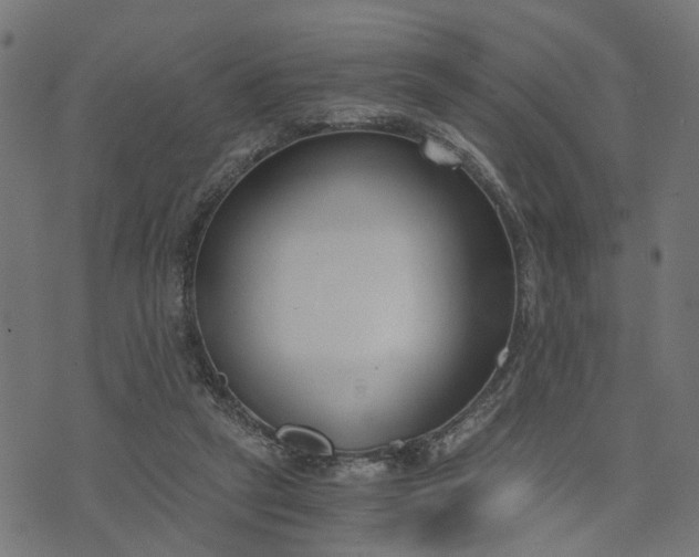 X0000073720257200608171211