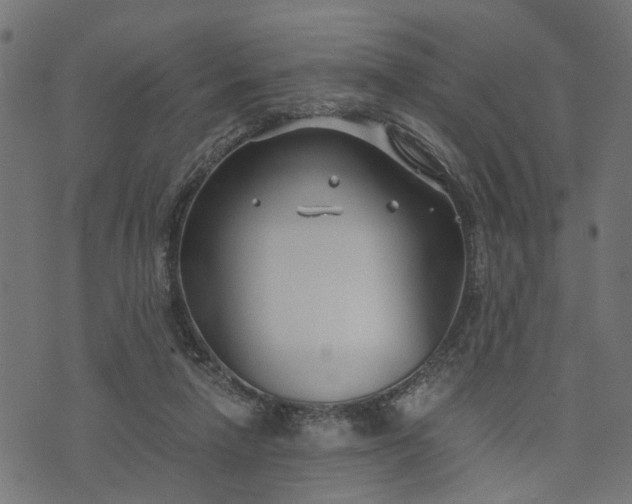 X0000073720258200608171211