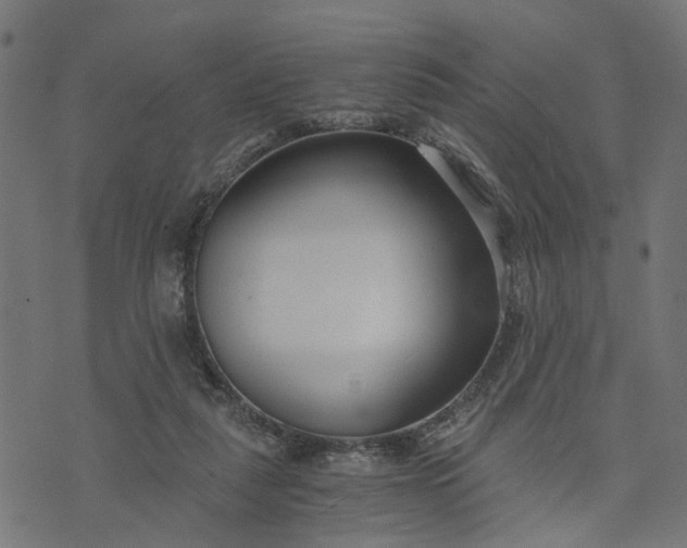 X0000073720259200608171211