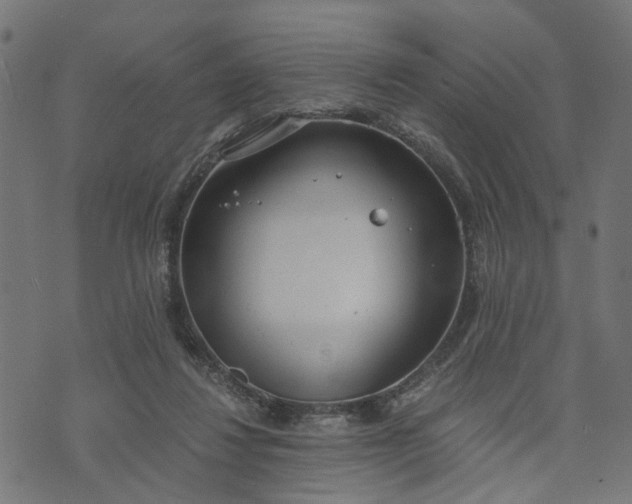 X0000073720260200608171211