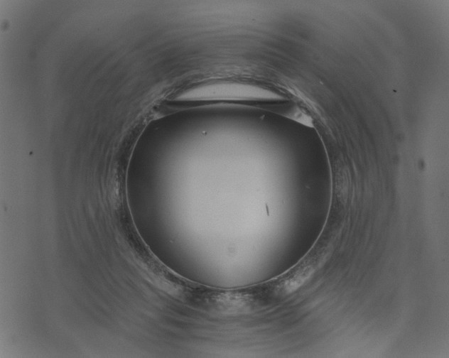 X0000073720261200608171211