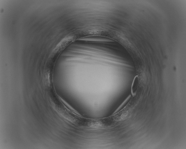 X0000073720262200608171211