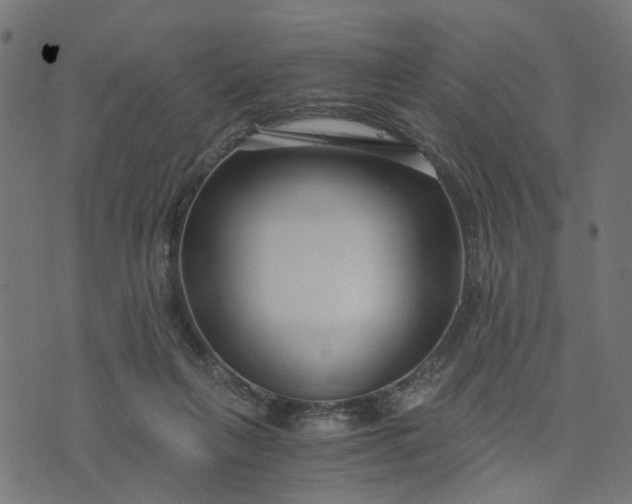 X0000073720263200608171211