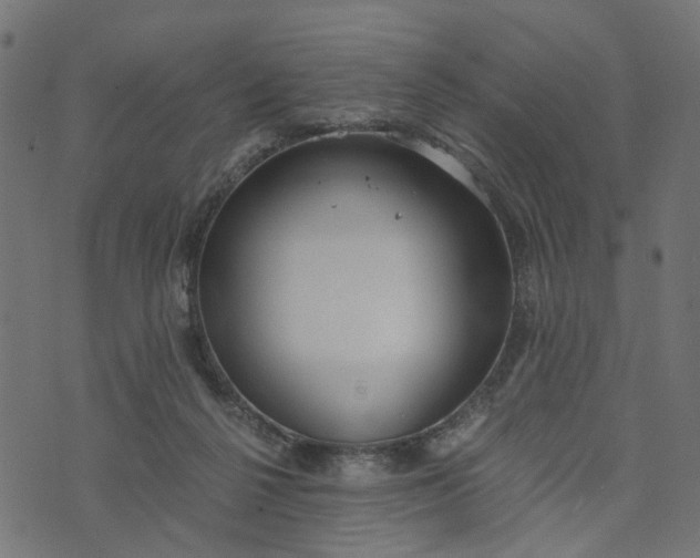 X0000073720264200608171211