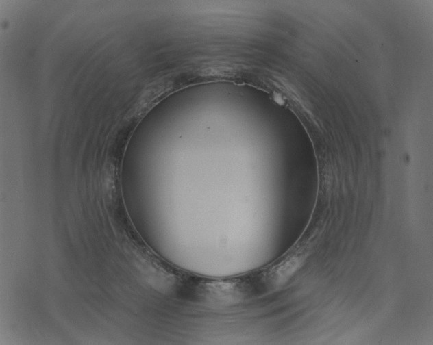 X0000073720265200608171211