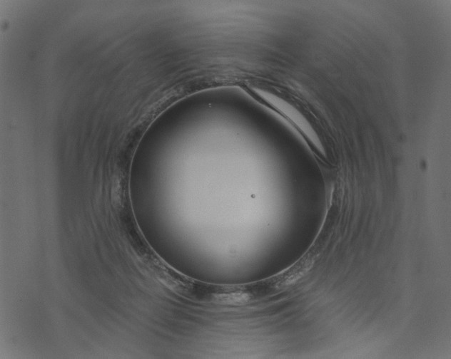 X0000073720266200608171211