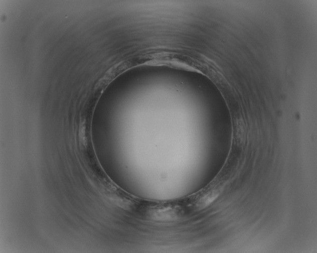 X0000073720267200608171211