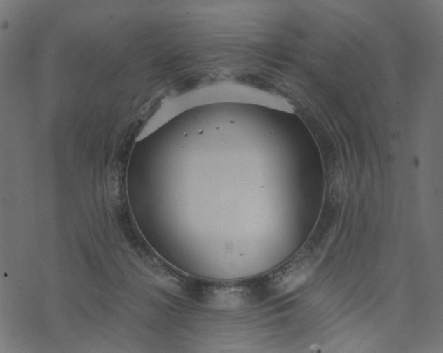 X0000073720268200608171211