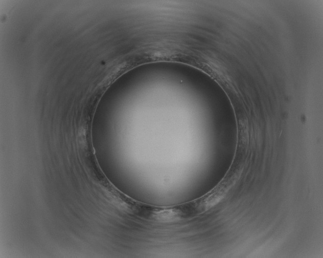 X0000073720269200608171211