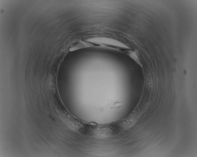 X0000073720270200608171211