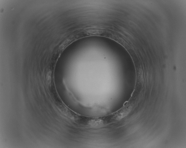 X0000073720271200608171211