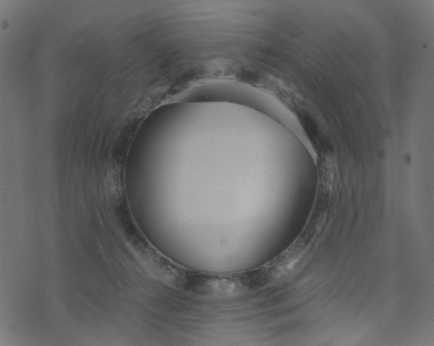 X0000073720272200608171211