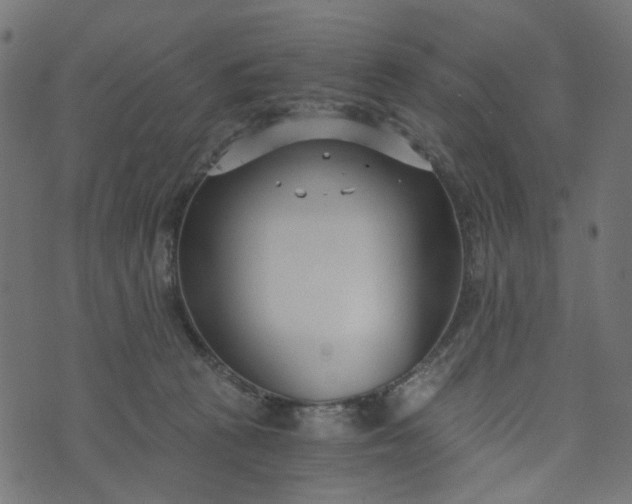 X0000073720273200608171211