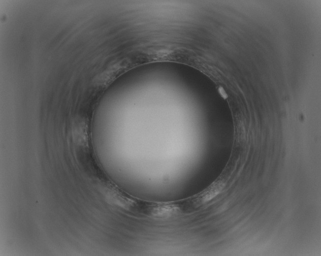 X0000073720274200608171211