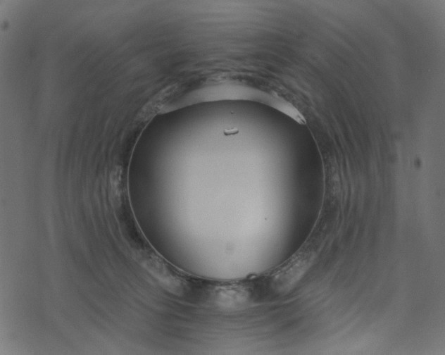 X0000073720275200608171211