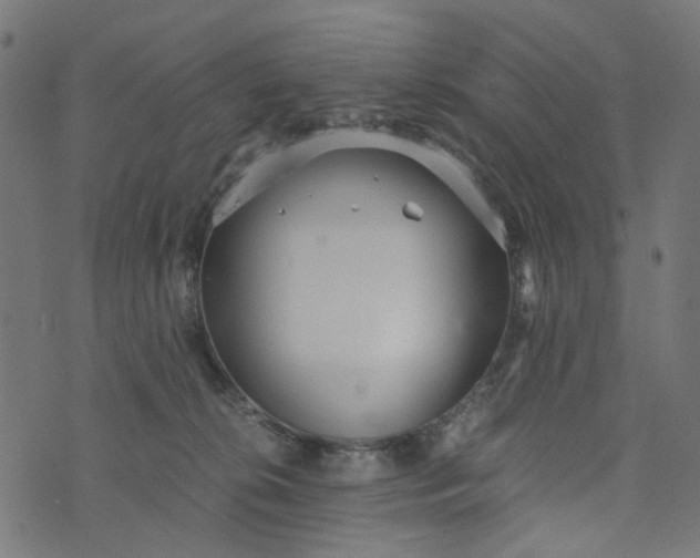 X0000073720276200608171211