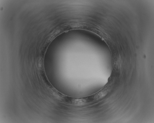 X0000073720277200608171211