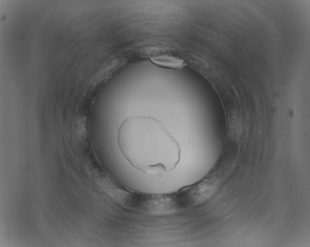 X0000073720278200608171211