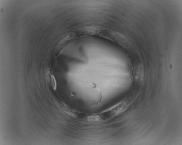 X0000073720279200608171211