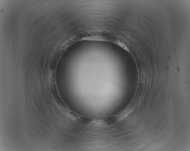 X0000073720280200608171211