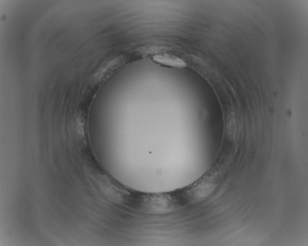 X0000073720282200608171211