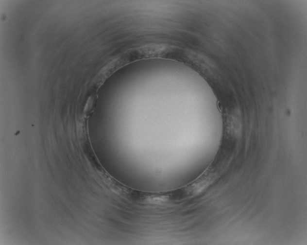 X0000073720283200608171211