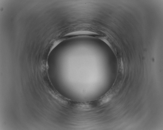 X0000073720284200608171211