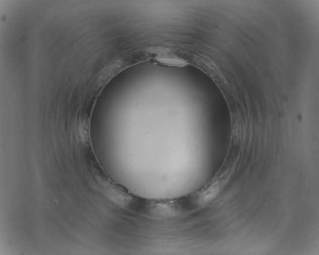 X0000073720285200608171211