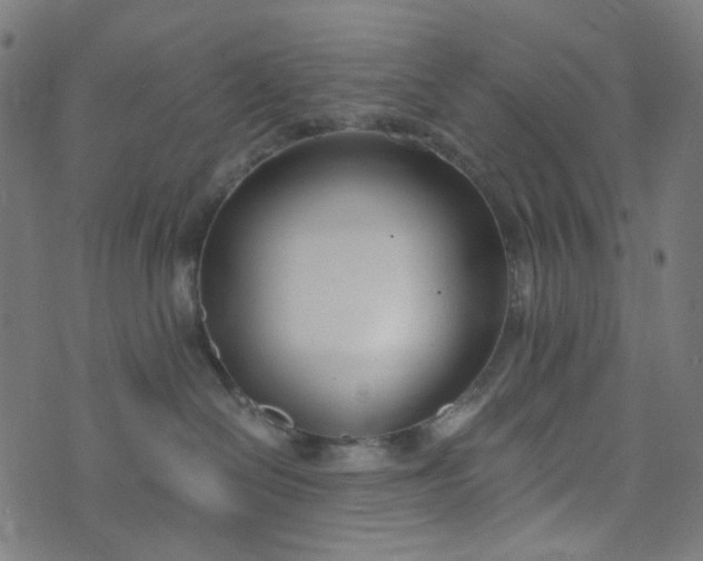 X0000073720286200608171211